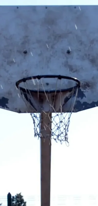 Rustic basketball hoop with weathered backboard.