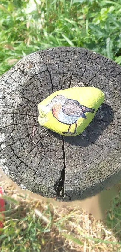 Hand-painted bird on a stone with wood texture, set in lush green grass.