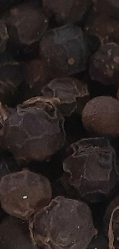 Close-up of black peppercorns in dark brown hues.