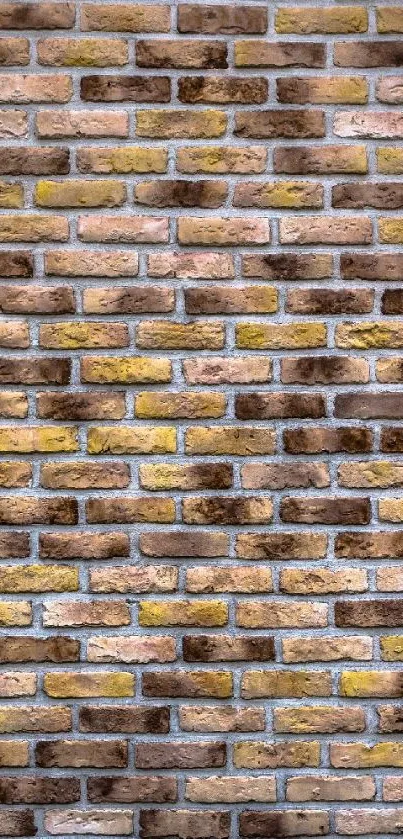 Rustic brick wall with textured yellowish-brown tones, perfect for mobile wallpaper.