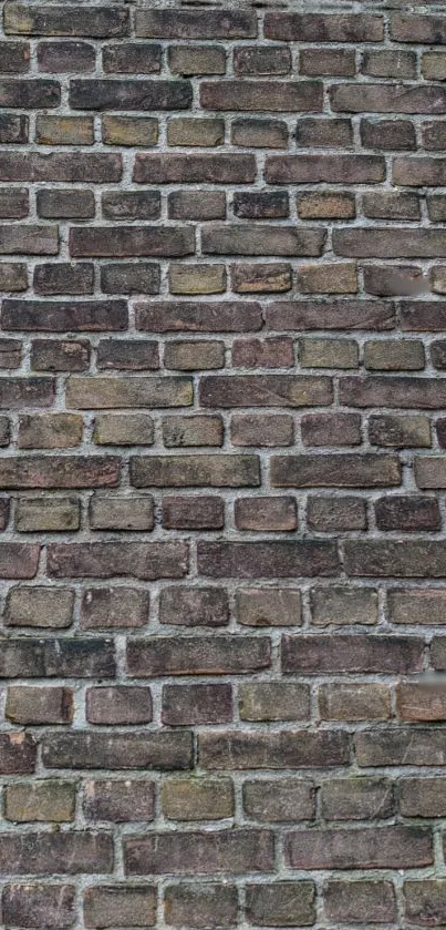 High-resolution mobile wallpaper of a rustic brick wall texture.