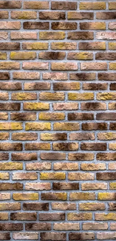 Rustic brick wall texture in brown and yellow hues.