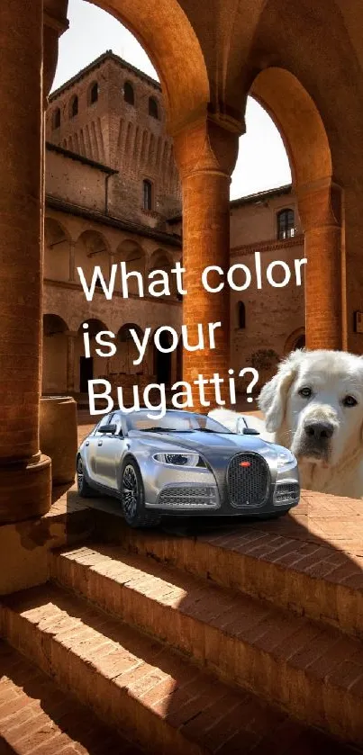 Rustic backdrop with Bugatti car and cute dog.