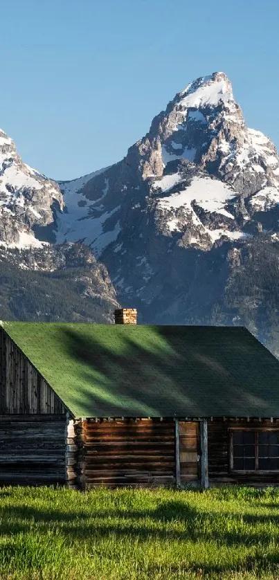 Rustic cabin with mountains and green grass in a serene landscape.
