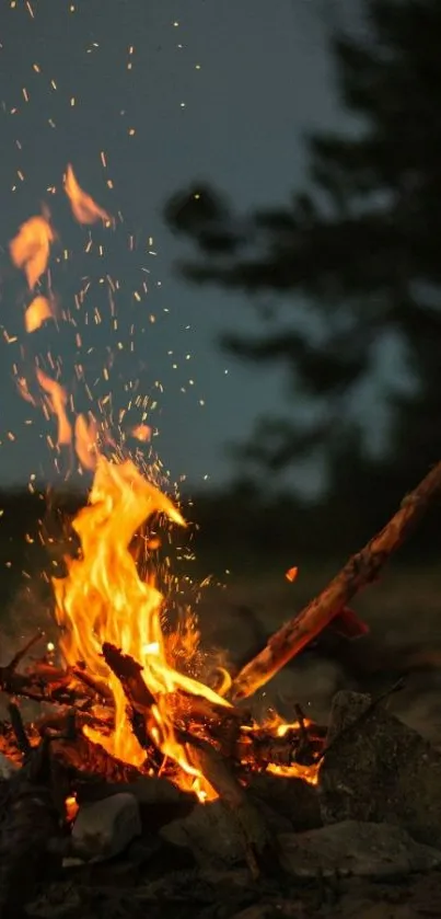 Warm campfire under a twilight sky in a rustic forest setting.