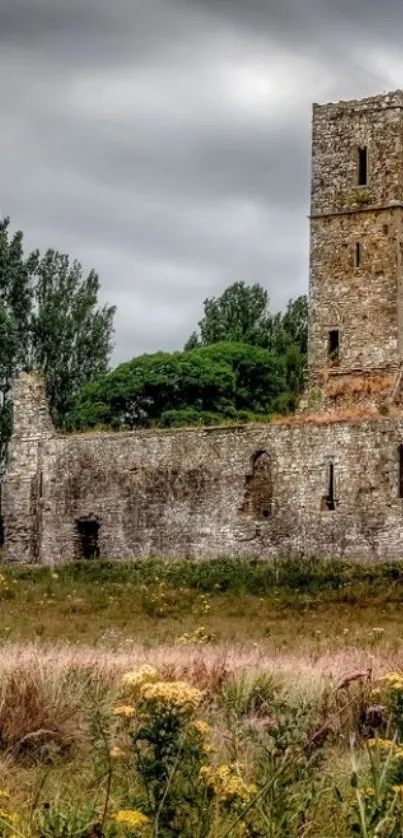 A rustic castle ruins amidst lush greenery under a dramatic cloudy sky.