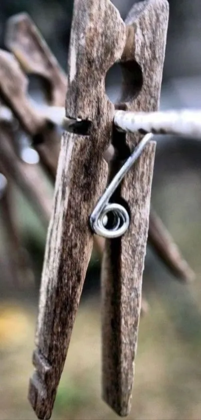 Close-up of a rustic wooden clothespin with a natural background.