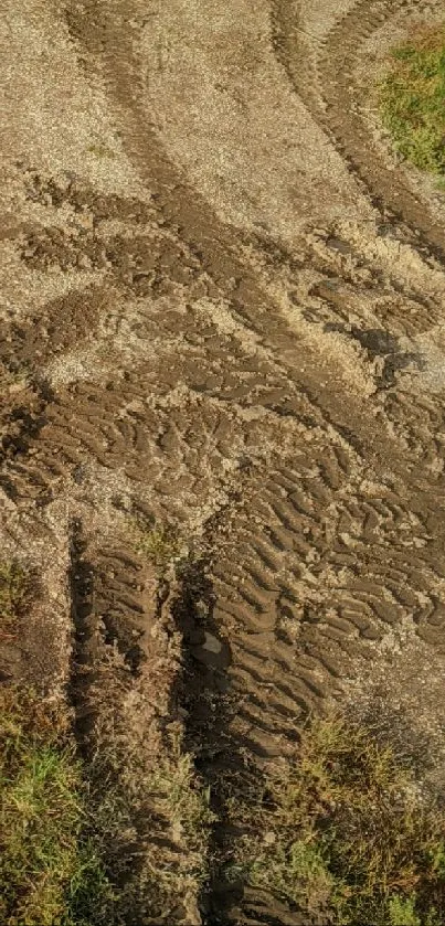 Rustic dirt trails with green grass, perfect mobile wallpaper.