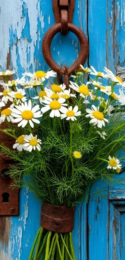 Daisy bouquet hanging on a blue rustic door.