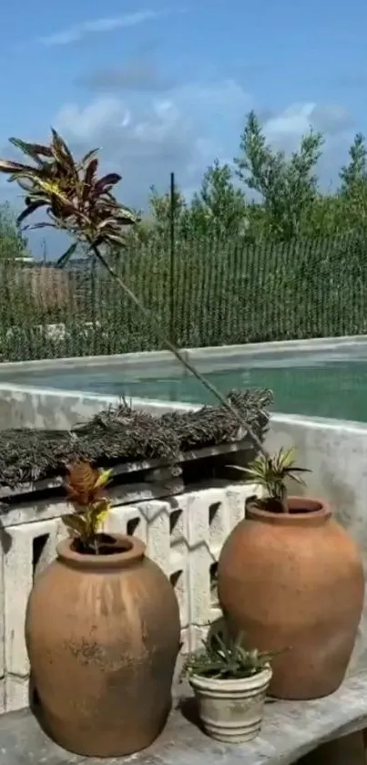 Clay pots with plants in a serene garden setting.