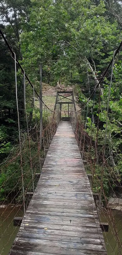 Rustic hanging bridge amidst lush green forest scenery.