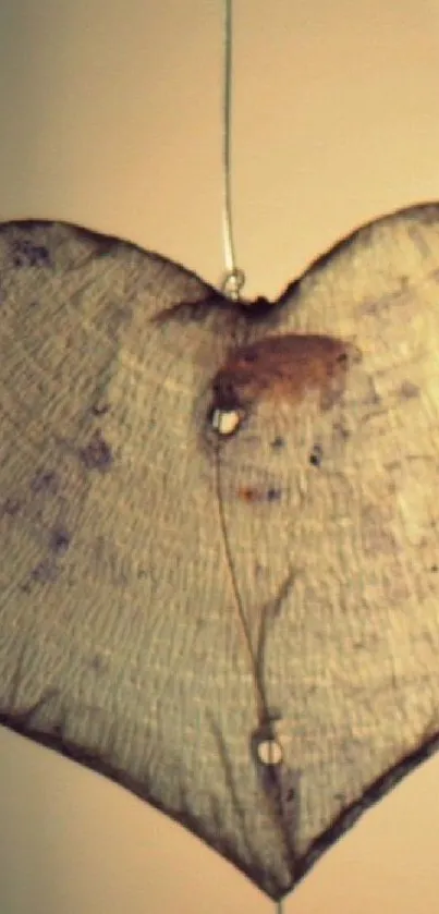 Rustic heart-shaped leaf on a wire in beige tones.