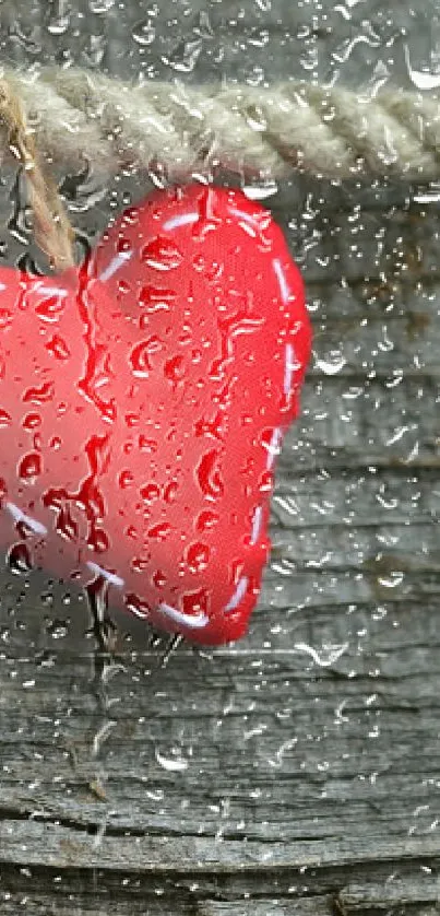 Red heart on rustic rope and wood background.