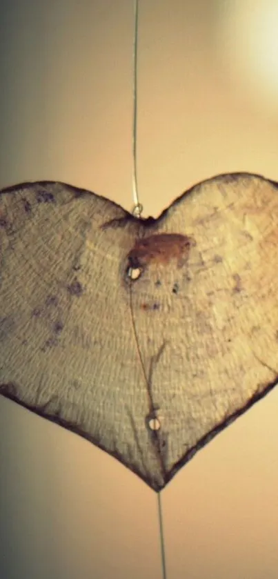 Heart-shaped wooden slice with rustic texture on a calming background.