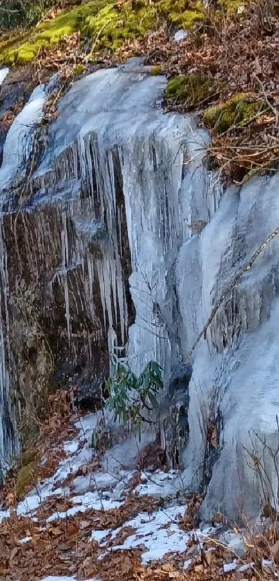 Ice-covered cliff with earthy tones and winter foliage, creating a serene nature scene.