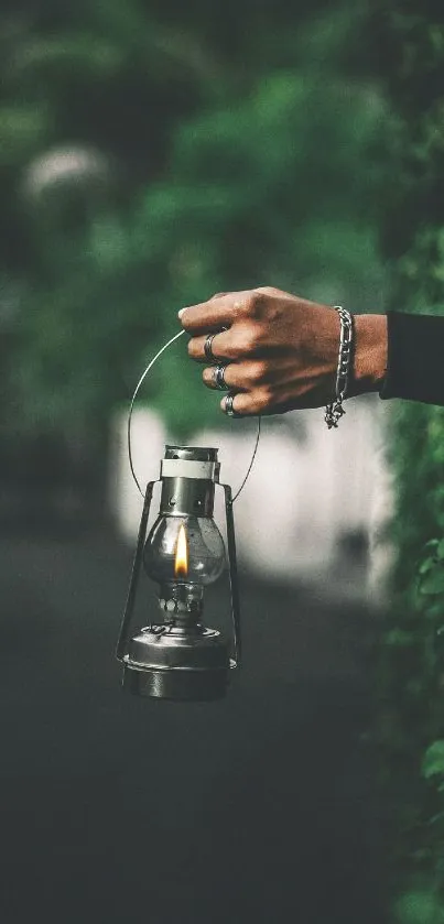 Hand holding a lantern against green foliage background.