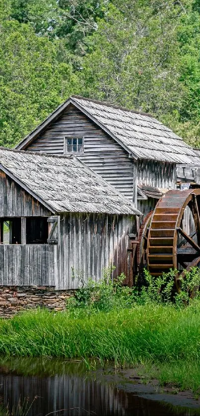 Rustic mill surrounded by lush greenery with a waterwheel.