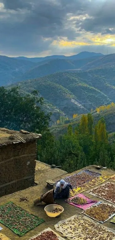 Rustic mountain landscape with drying herbs and a cloudy sky.