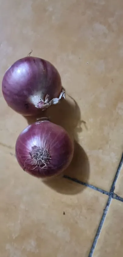 Two red onions on a rustic tan tile floor, creating a natural culinary vibe.