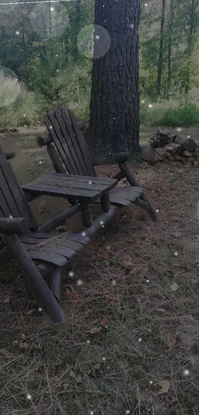 Rustic wooden bench in a peaceful forest setting.