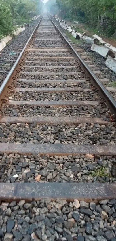 Rustic railway track surrounded by green foliage.