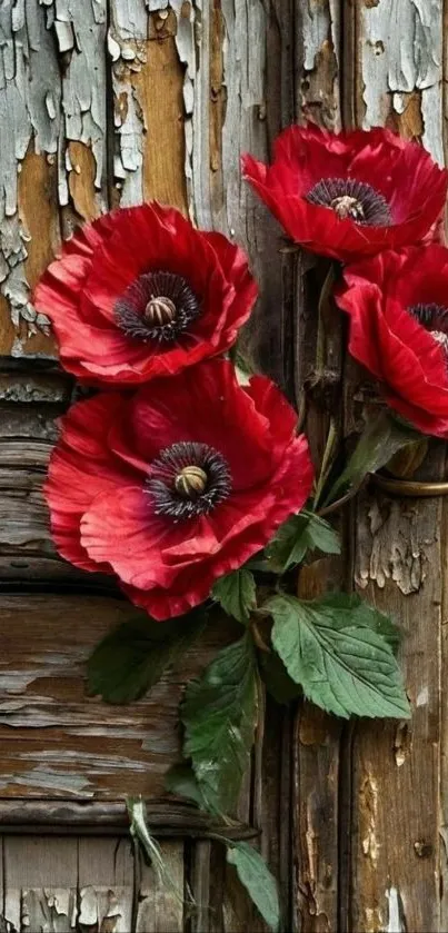 Rustic red flowers on a vintage wooden background.