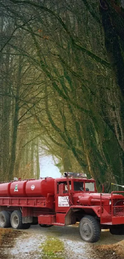 Red truck on a forest path surrounded by towering trees.