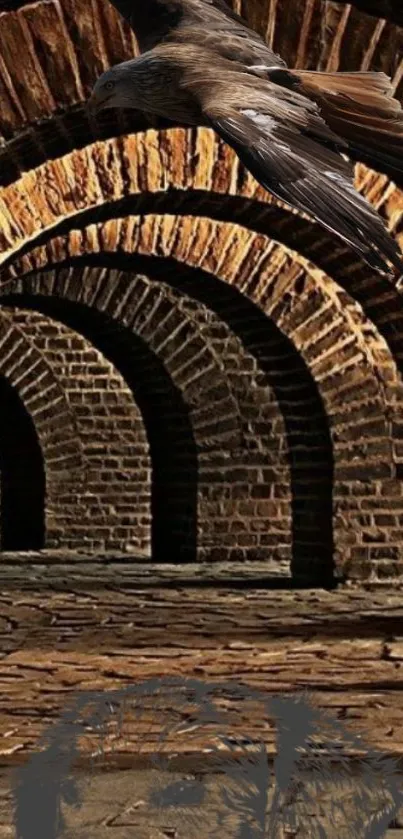 Rustic stone arches with a soaring bird in a peaceful scene.