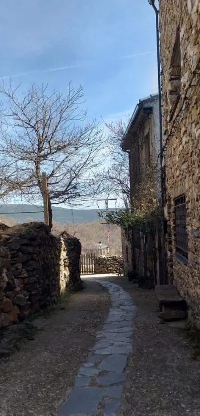 Rustic village pathway with stone walls and bare trees.