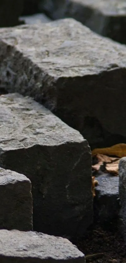 Rustic stone pathway with fallen leaves.