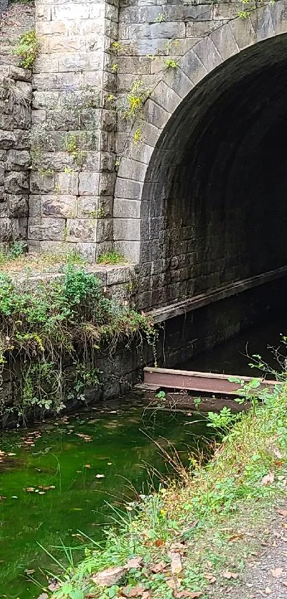 Serene stone tunnel surrounded by lush greenery on a tranquil pathway.