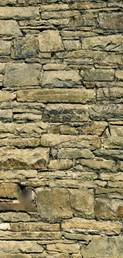 Close-up of a rustic stone wall background with earthy tones.