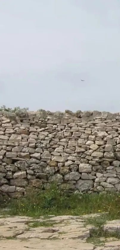 Rustic stone wall with natural textures in a serene outdoor setting.