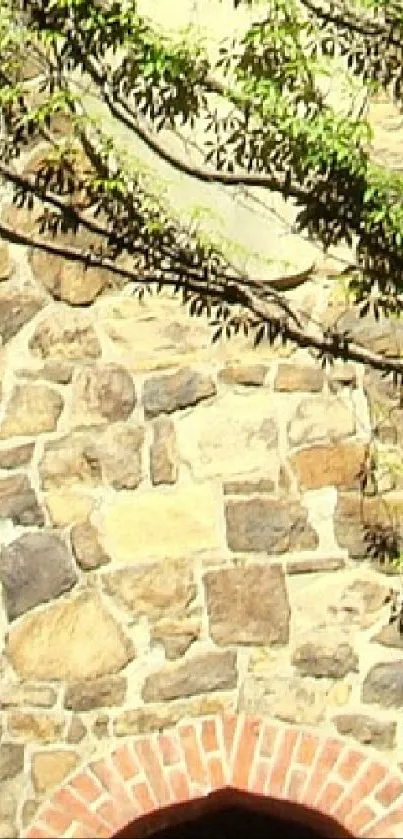 Rustic stone wall with leafy branch shadows and brick arch.