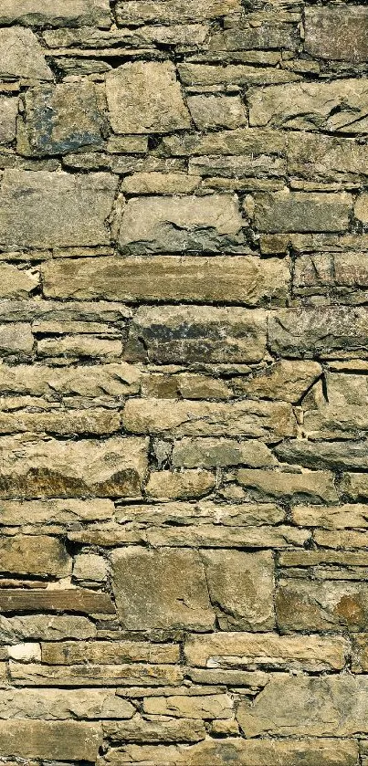 Rustic stone wall texture in olive green shades.