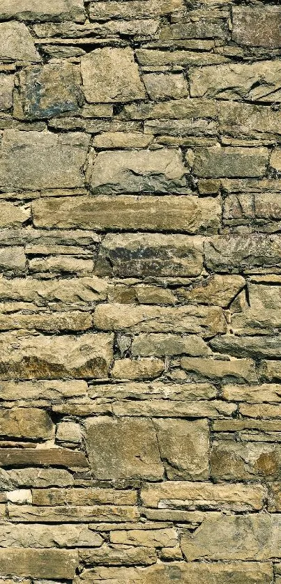 Rustic stone wall texture with beige tones for mobile wallpaper.