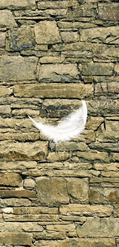 Rustic stone wall with a white feather accent