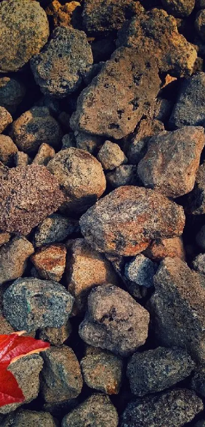 Rustic stones with a vibrant red leaf accent.