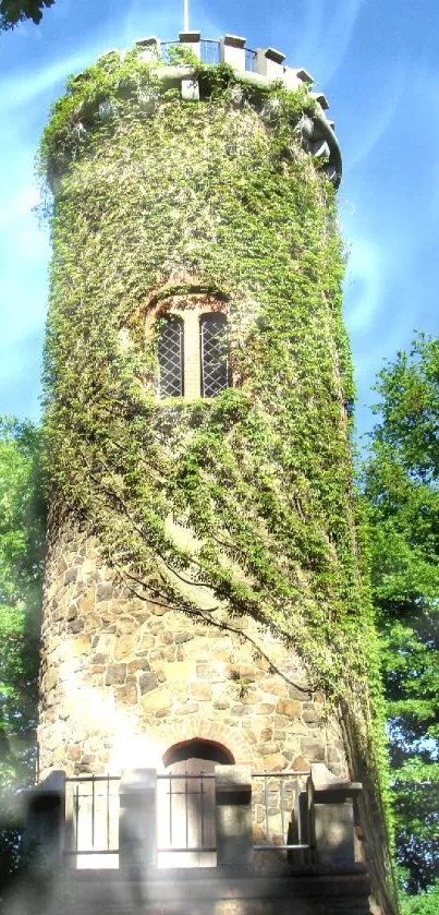 Ivy-covered rustic tower surrounded by lush green forest.