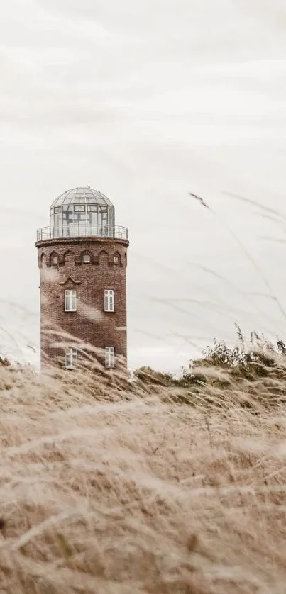 Rustic tower in a misty field landscape wallpaper.