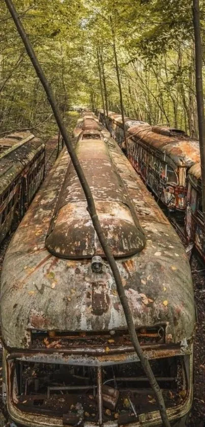 Abandoned rusty trains in lush forest landscape, creating a serene atmosphere.