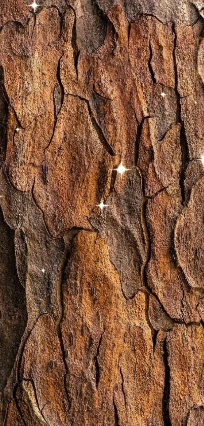 Close-up of rustic tree bark showing rich texture and earthy tones.