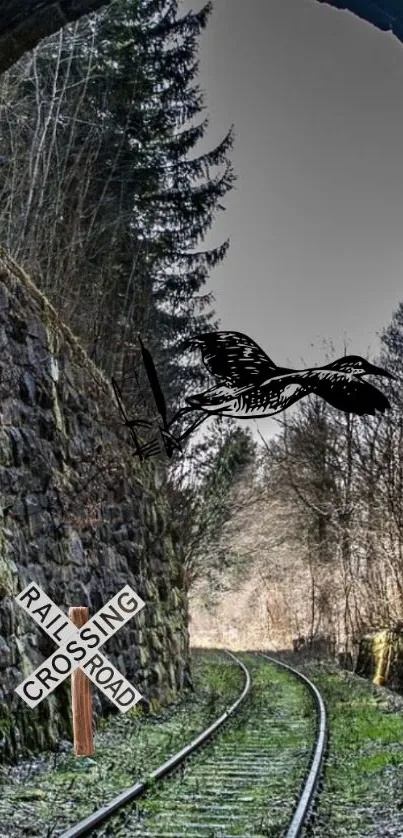 Railway tunnel with artistic bird sketch in nature.