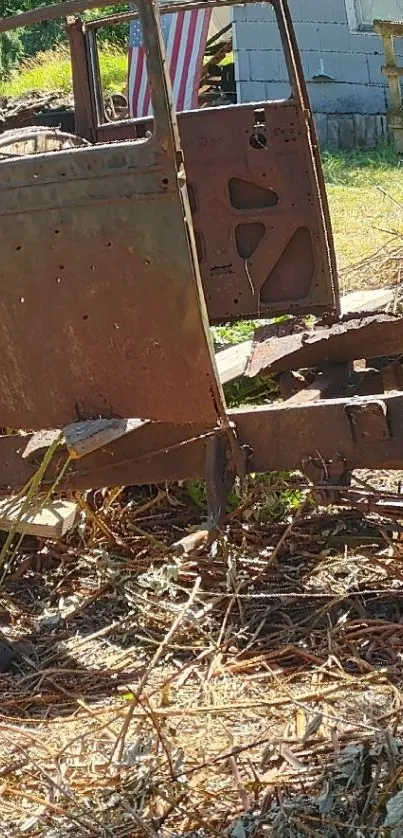 Rusted vintage truck in rural setting with nature.