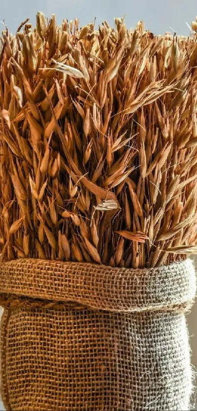 Rustic wheat bundle in burlap on a reflective surface showcasing natural textures.