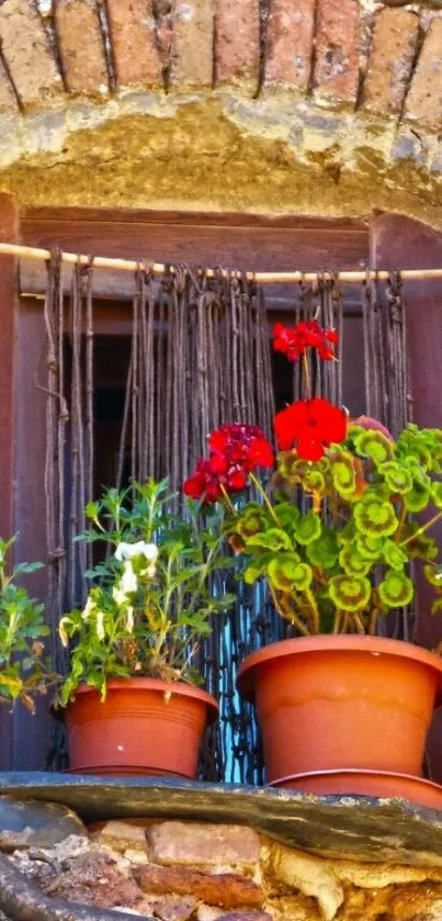 Rustic window with vibrant potted flowers.