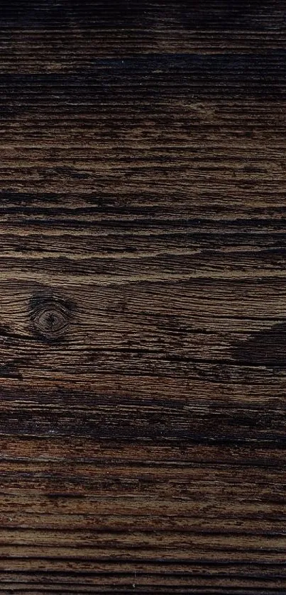 Rustic wood texture with a green leaf accent on the side.