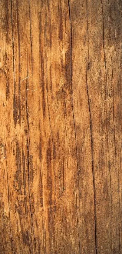 Rustic wood texture mobile wallpaper with earthy brown tones.