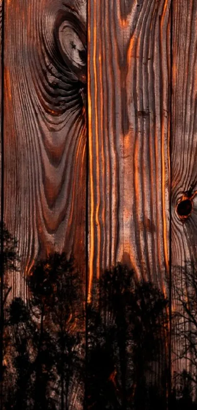 Rustic wood texture wallpaper with tree silhouettes and warm highlights.