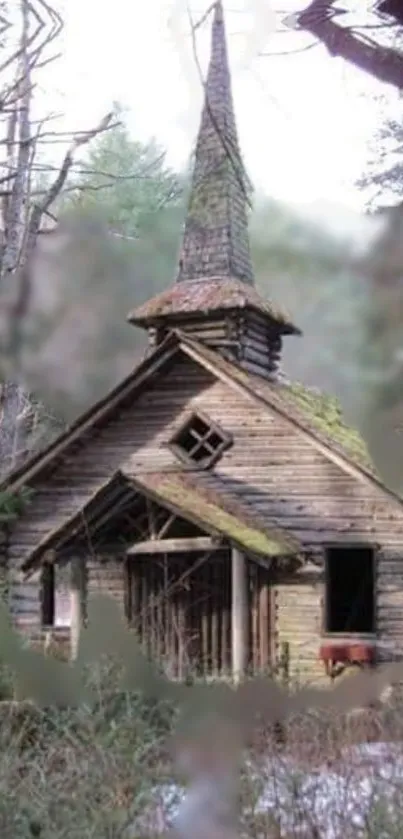 Rustic wooden cabin in forest setting with moss-covered roof.